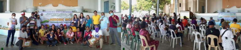 AEROBIC RICE TECHNOLOGY TRAINING – PALAYAN CITY, NUEVA ECIJA​