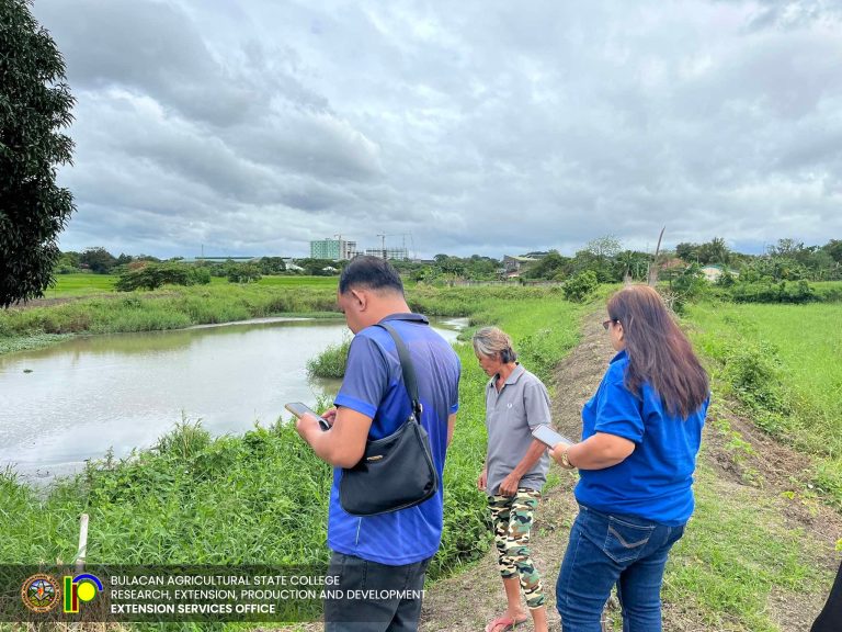 488819310_1117896557016545_7474898993913427730_n