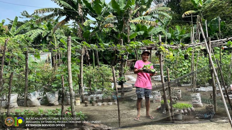 488922498_1117896237016577_7769934947375068091_n