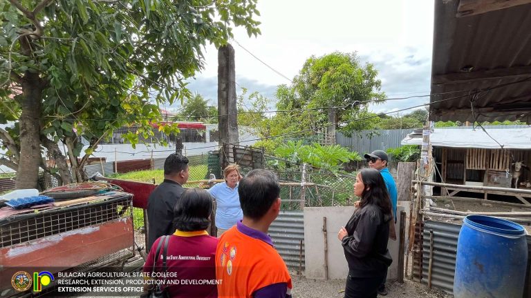 489414596_1117918890347645_6939399069498966142_n