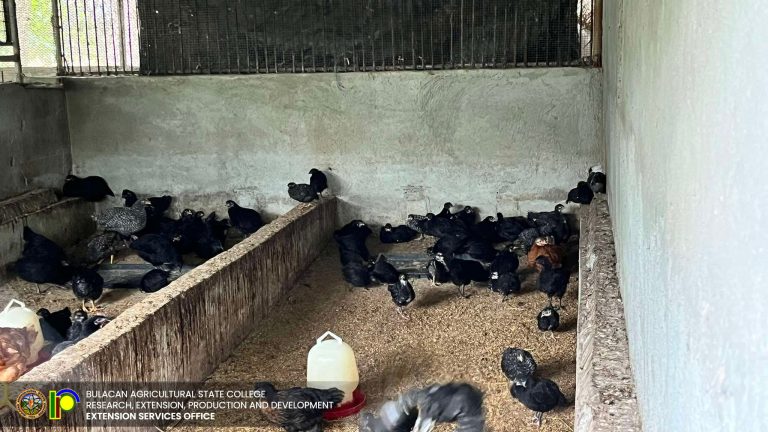 489435781_1117896627016538_3950402893623698115_n