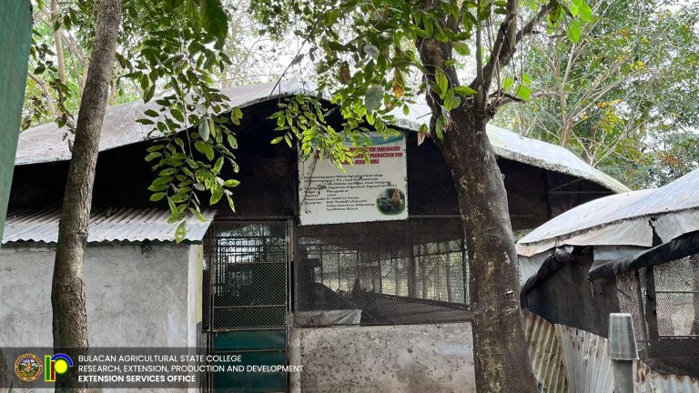 489768192_1117896587016542_5673873370936577736_n