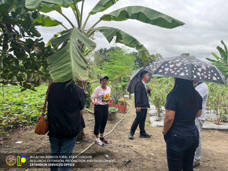 489885797_1117896580349876_7240206084592105273_n