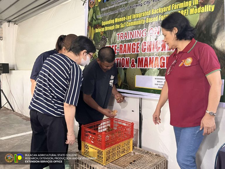 488937040_1118014743671393_3121959738642630803_n