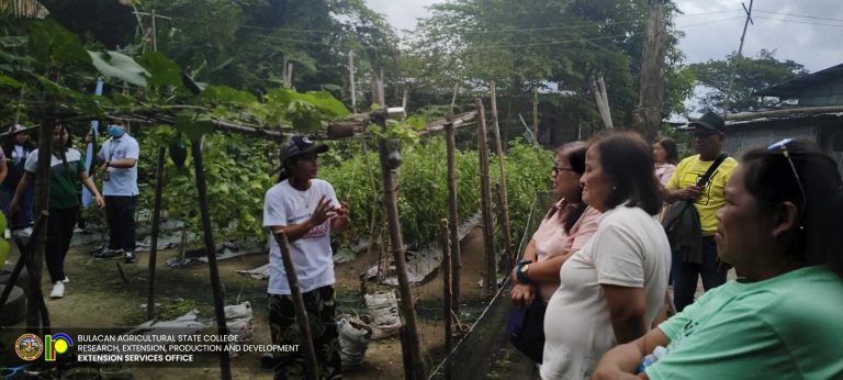 488946539_1118014287004772_192305770728520672_n