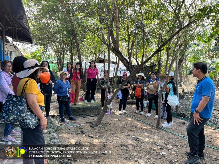 489342947_1118073320332202_9014408832644667193_n