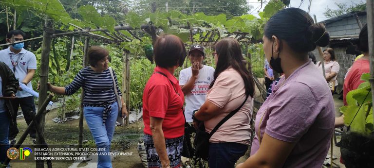 489360432_1118014720338062_6541092089872180022_n