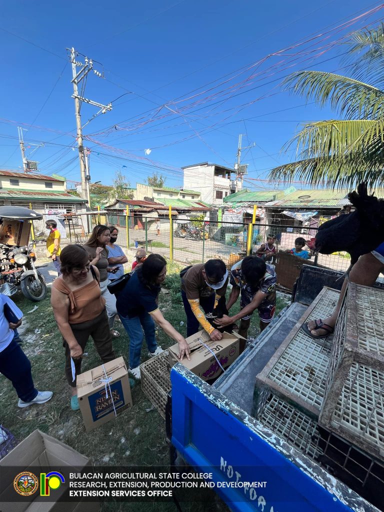 490118086_1118576453615222_3263891321691440358_n