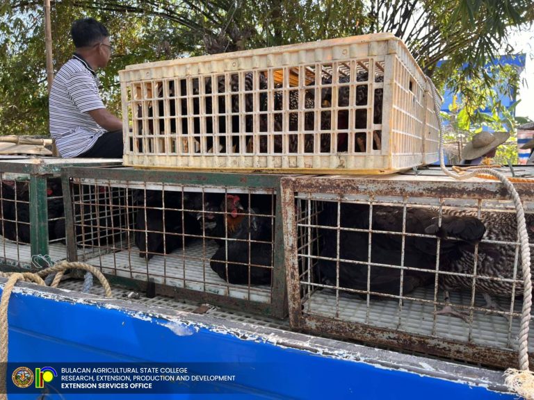 490704010_1121248270014707_7379559897557235415_n