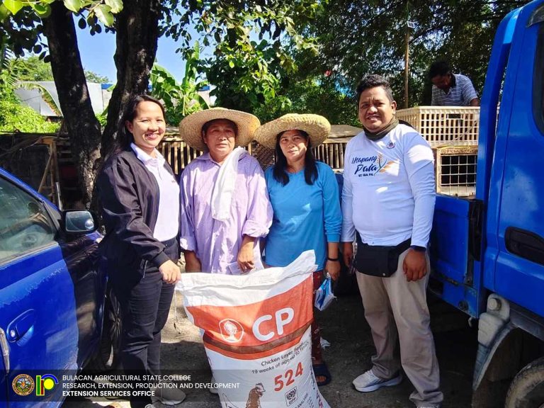 490799390_1121274370012097_3319716074125615489_n