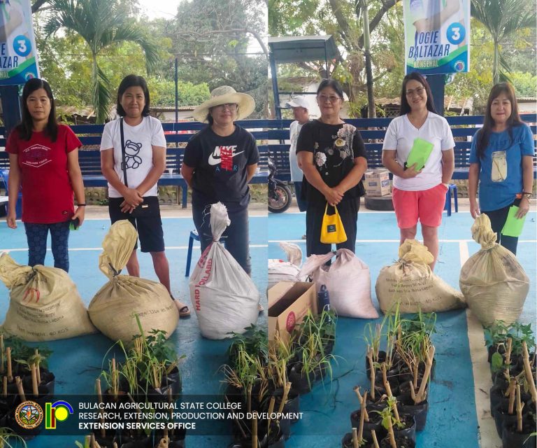 490966716_1126190092853858_7134779392168682788_n