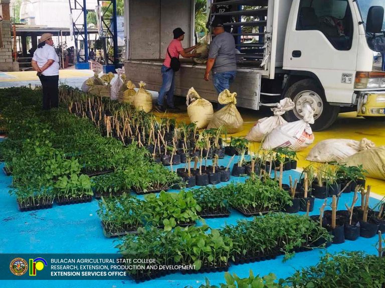 491256024_1126191986187002_6772961830273800942_n