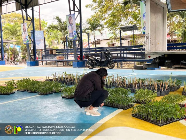 491262981_1126192216186979_7880887265338194680_n