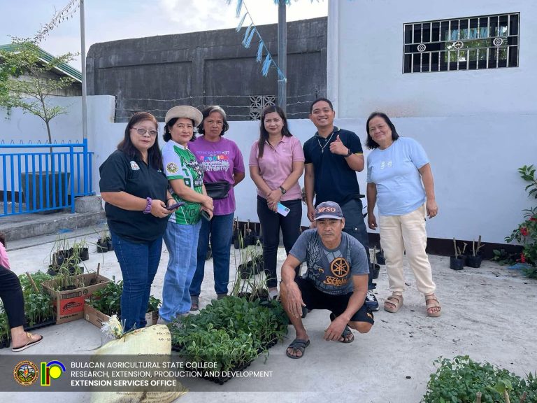 491804397_1125537996252401_5706896269180567647_n