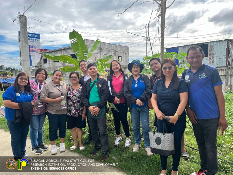 “EXPANDING THE WOMEN-LED CHEMICAL PESTICIDE-FREE INTEGRATED BACKYARD FARMING IN BULACAN” JANUARY 13, 2025